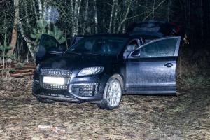 Audi zaparkowane w lesie